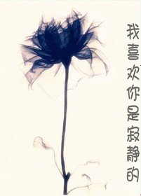 我喜欢你是寂静的